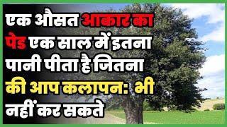 Top 10 Amazing Facts 