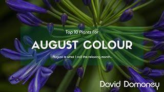 Top 10 Plants For Your Garden In August