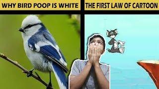 TOP 12 FACT ABOUT THE WORLD YOU DON'T KNOW