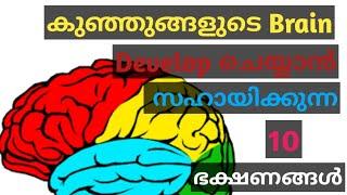 Top 10 Brain Developing Foods For Babies And Kids/Malayalam/Mom Inspires