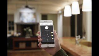 Top 10 Smart Home Lighting System 2021