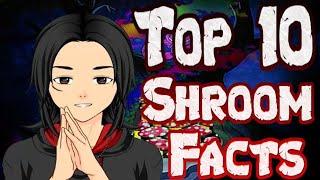 Top 10 Facts About Shrooms