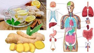 What Is Ginger Good For? Top 8 Ginger Health Benefits