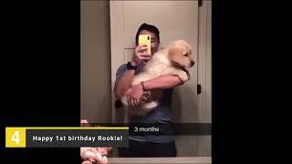 Top 10 Viral Videos of the Month