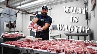 What's the Difference Between Wagyu Beef and Kobe Beef? The Bearded Butchers Answer and Grill!
