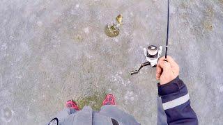 I WENT BACK! Ice Fishing for BIG BLUEGILL (Sight Fishing)