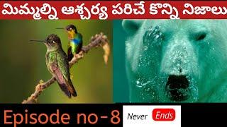 Top 10 Amazing facts||Never End Facts||