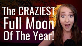 FULL MOON in Aquarius is the CRAZIEST & Most Shocking Of The Entire YEAR! Weekly Astrology Forecast!