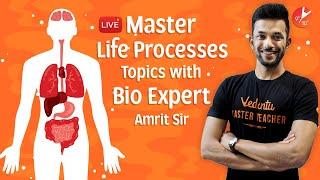 Master Life Processes Topics | CBSE Class 10 Science (Biology) Chapter 6 NCERT@Vedantu Class 9 & 10