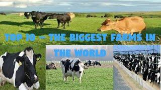 Top 10 – The Biggest Farms in the World|Dairy Form|Modern Form|2020|HD|Former