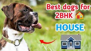 Best dog breeds for 2bhk house 