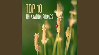 Top Relaxation (Piano, Guitar Music for Clear Mind)