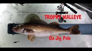 MONSTER WALLEYE on small Ice Fishing jig pole NFN Icehole Adventure #10