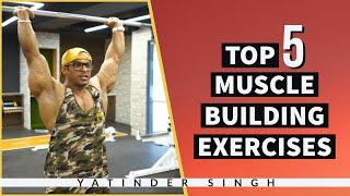 Top 5 Muscle Building Exercises | मसल्स बनाने के लिए करें ये 5 एक्सरसाइज | Yatinder Singh