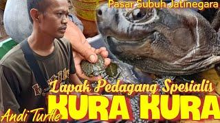 LAPAK SPESIALIS KURA KURA  (ANDI TURTLE)