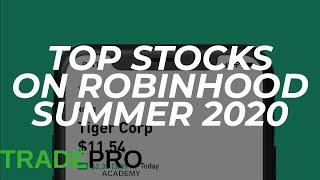 What are the TOP Robinhood stocks 2020-2021?