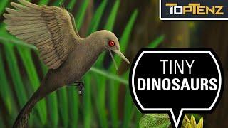 10 Things You Should Know About Dinosaurs