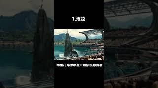 Top 10 prehistoric marine life十大史前海洋生物