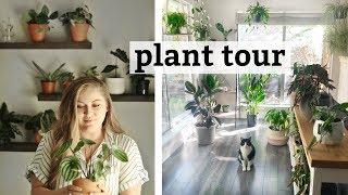 My Houseplant Collection // Tour | OVER 100 PLANTS (i think)