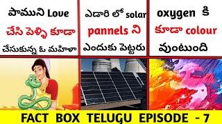 Interesting Facts In Telugu || Unknown Facts Telugu || Facts Telugu || Facts Box || EP -006