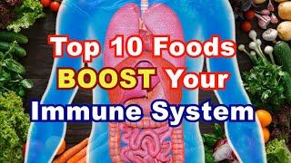 Top 10 Food Boost Your Immune System