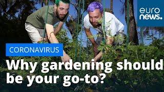 Coronavirus: Why gardening should be your go-to quarantine activity