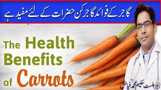 Top Health Benefits Of Carrot And Carrot Juice by Fayyaz | Gajar Aur Gajar Ke Juice Ke Fayde urdu