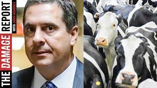 Devin Nunes' Cow Case Just Got SUPER Embarrassing