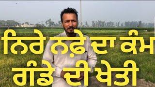 ਨਿਰੇ ਨਫ਼ੇ ਦੀ ਖੇਤੀ ਗੰਢੇ,,, information about top pofit farming