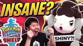 Crazy man spends 12+ HOURS catching a POKEMON | Pokemon Sword and Shield