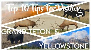 Top 10 Tips for Visiting Grand Teton and Yellowstone National Park (During COVID)