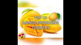 TOP 10 biggest mango 