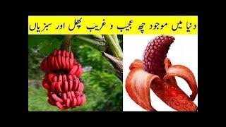 Unbelievable Plants __ Plants looks like human Body Parts_ Amazing Plants facts _ Ajeeb O Greeb Pody