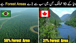 Top 10 Counties With Largest Forest Area | Abbas Jamil TV