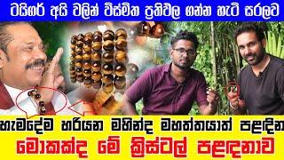 හැමදේම හරියන මහින්ද මහත්තයාත් පළඳින මොකක්ද මේ ක්‍රිස්ටල් පළඳනාව | Tiger's Eye Stone | Crystals