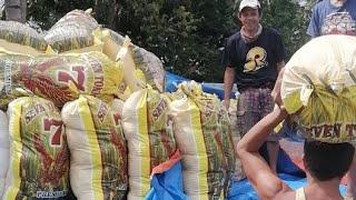 Relief Aid For Tayasan - Typhoon RAI Odette