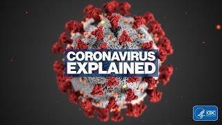 Novel Coronavirus explained l ABC News