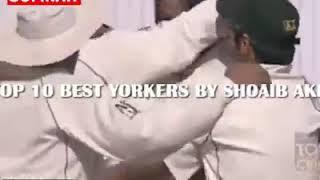 Top 10 best bowled in cricket history ever