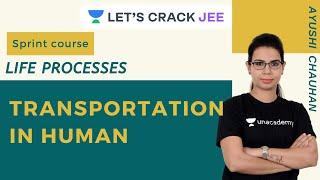 Transportation In Human | Life Processes | Biology Sprint Course | Ayushi Chauhan