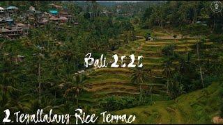 Bali .Top 10 places to visit (second place ) Tegallalang Rice Terrace