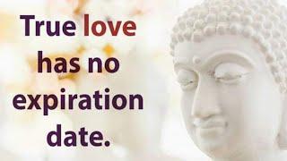 Life changing Lord Buddha Quotes about Love ♥️ | Life & Relationship in English : Learn English