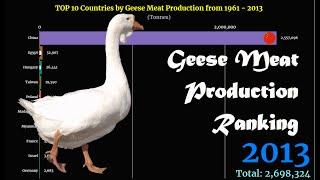 Geese Meat Production Ranking | TOP 10 Country from 1961 to 2013