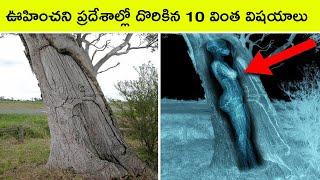 Top 10 Discoveries found in unexpected places | Bmc facts | Telugu