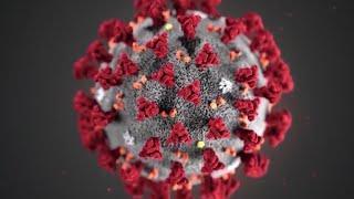 Minnesota Infectious Disease Expert Discusses How To Prepare For Coronavirus