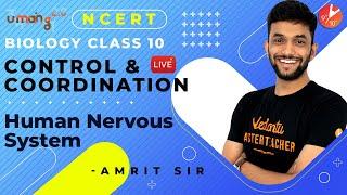 Control and Coordination L1 | Human Nervous System | CBSE Class 10 Biology | Science Chapter 7 NCERT