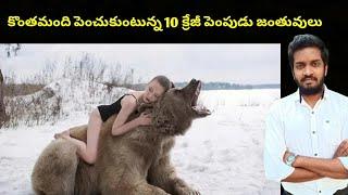 Top 10 Crazy Pets People Actually Own