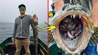 Top 10 Fisherman Captures That Made Them Question Everything