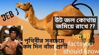 উট কোথায় জল জমিয়ে রাখে ? | Top 10 facts you should know