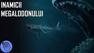 TOP 10 Cei Mai Periculosi Inamici ai Megalodonului