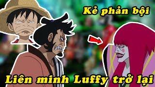 Kẻ phản bội lộ diện , 3 siêu tân tinh Luffy Kid Law trở lại - Tóm tắt nhanh One Piece 974